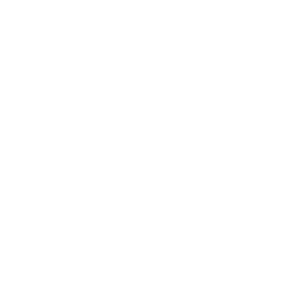 Echo Mentoring icon: a cross radiating echo waves inside a circle